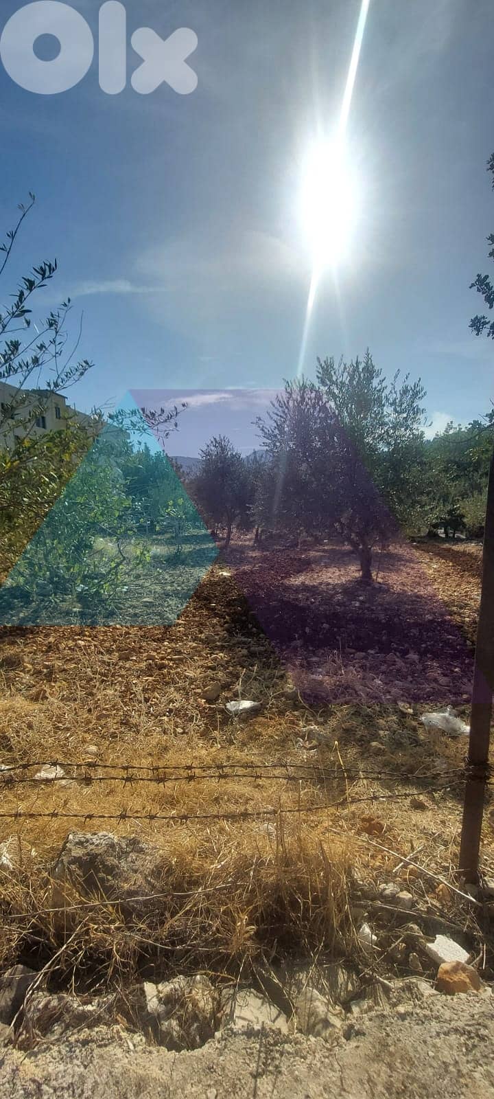 Prime 2235 m2 land 4 sale in Kfarsaroun - Koura - أرض للبيع في الكورة 4