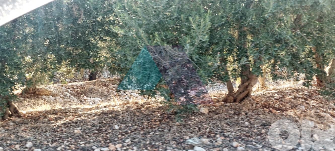 Prime 2235 m2 land 4 sale in Kfarsaroun - Koura - أرض للبيع في الكورة 1