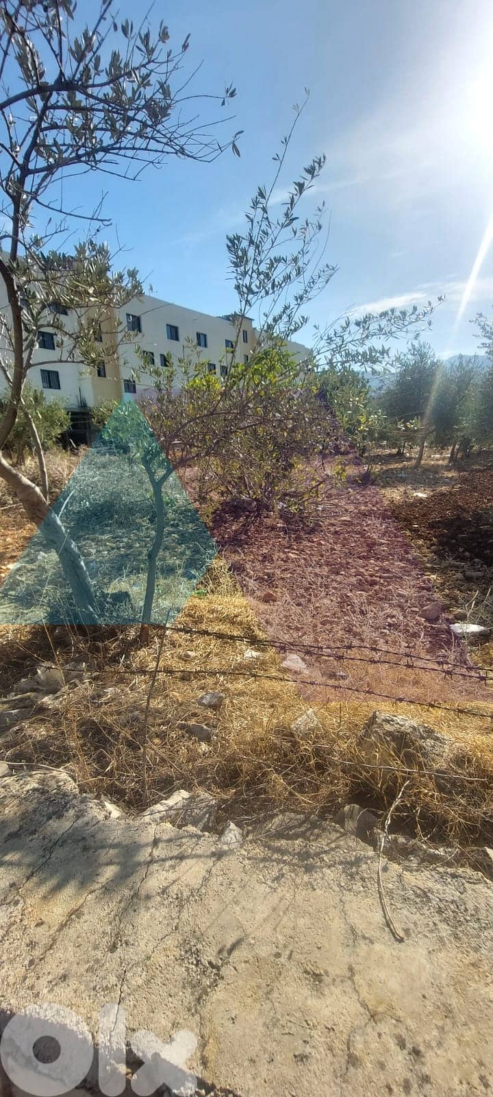 Prime 2235 m2 land 4 sale in Kfarsaroun - Koura - أرض للبيع في الكورة 3