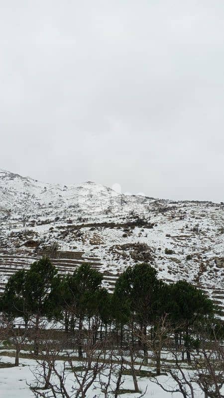 أرض البيع في عين داره عاليه land for sale in ain dara aley 1