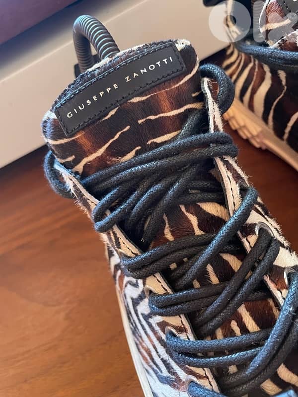 Giuseppe zanotti 1