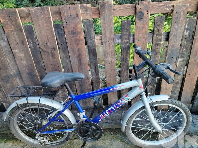 bicycle 20 2