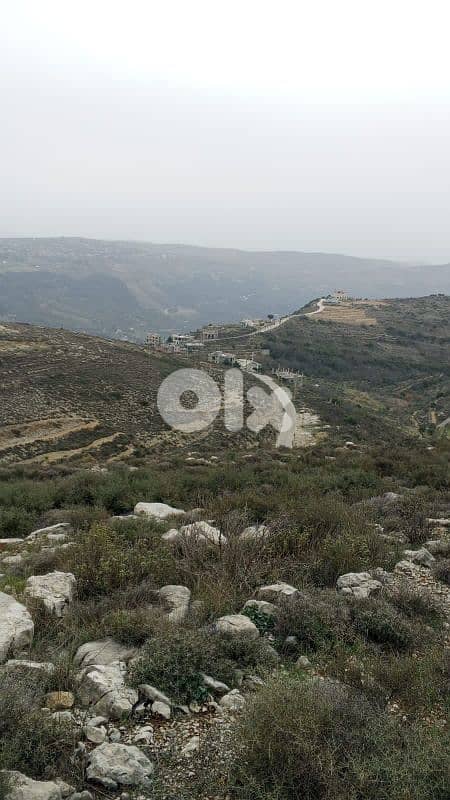 أرض للبيع في كفرنيس الشوف land for sale in shouf 1