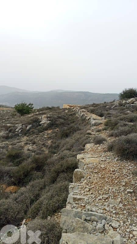 أرض للبيع في كفرنيس الشوف land for sale in shouf 2