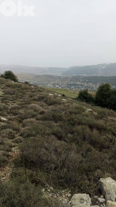 أرض للبيع في كفرنيس الشوف land for sale in shouf 3