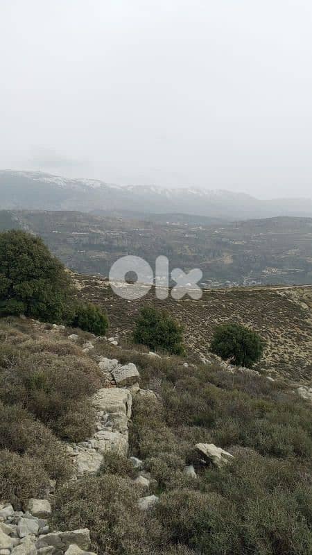 أرض للبيع في كفرنيس الشوف land for sale in shouf 5