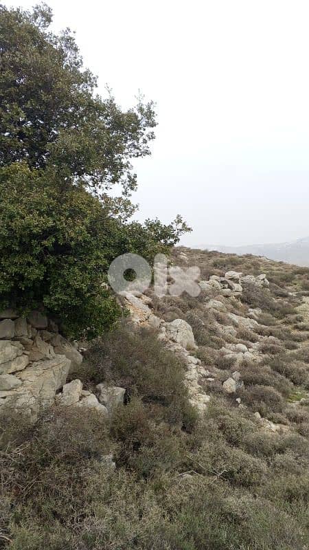 أرض للبيع في كفرنيس الشوف land for sale in shouf 7