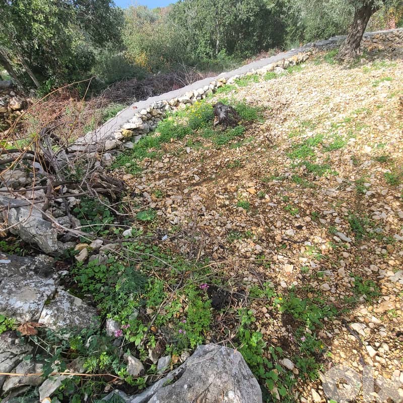 GMB151GM Land For Sale In Rihane Jeddayel أرض للبيع في ريحان - جدايل - 1