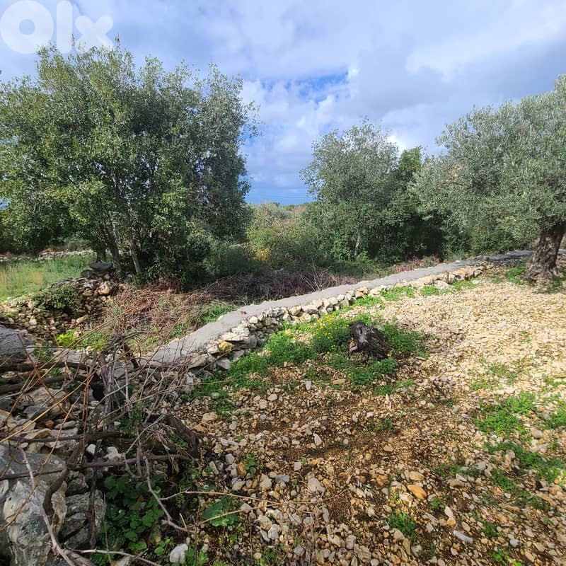 GMB151GM Land For Sale In Rihane Jeddayel أرض للبيع في ريحان - جدايل - 2