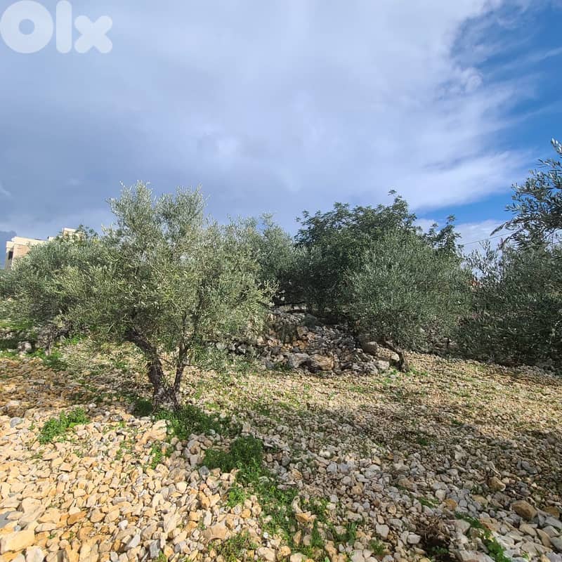 GMB151GM Land For Sale In Rihane Jeddayel أرض للبيع في ريحان - جدايل - 3