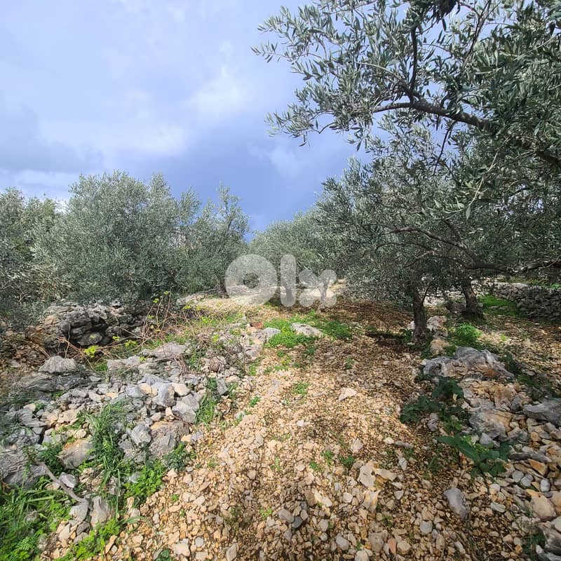 GMB151GM Land For Sale In Rihane Jeddayel أرض للبيع في ريحان - جدايل - 5