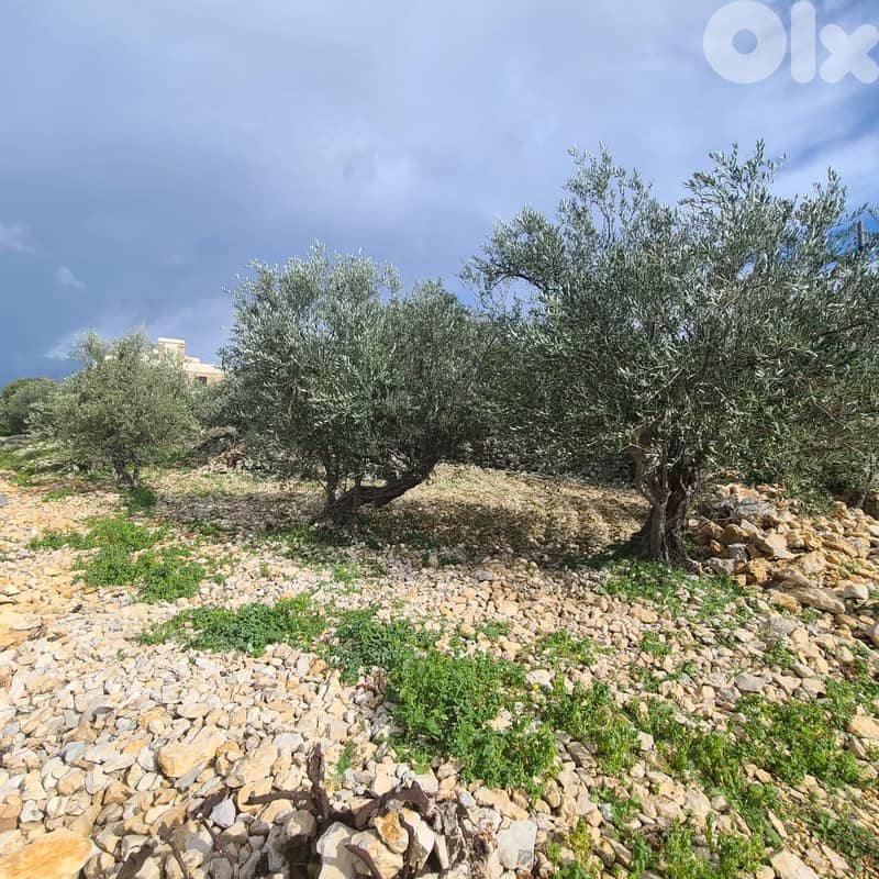 GMB151GM Land For Sale In Rihane Jeddayel أرض للبيع في ريحان - جدايل - 6