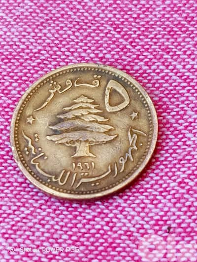 زلقا المتن