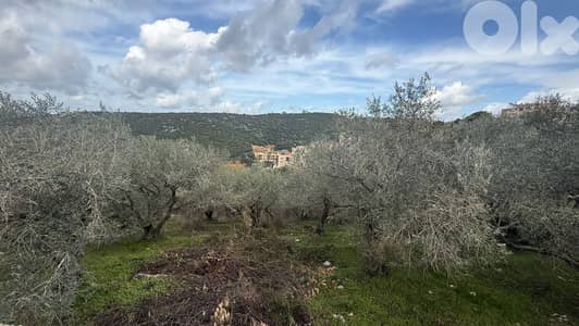 GMB188SA Land for sale Ijdabra - أرض للبيع في إجدبرا