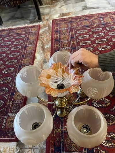 تريا مميزه ب ١٥ دولار