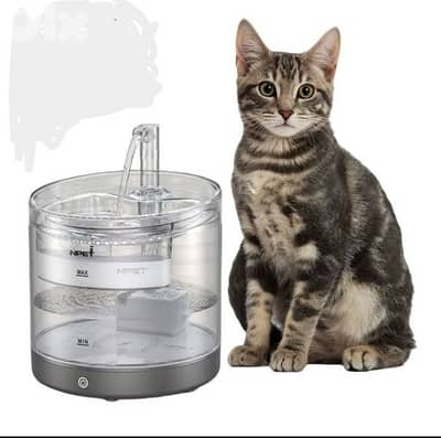 03398980 pet water