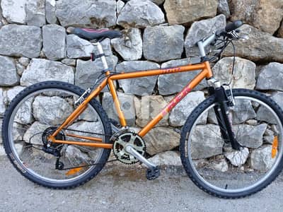 Trek bike