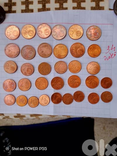 زلقا المتن