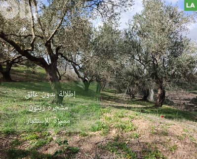 Good for investment ,kfour -Nabatieh/ كفور - النبطي REF#LA132636
