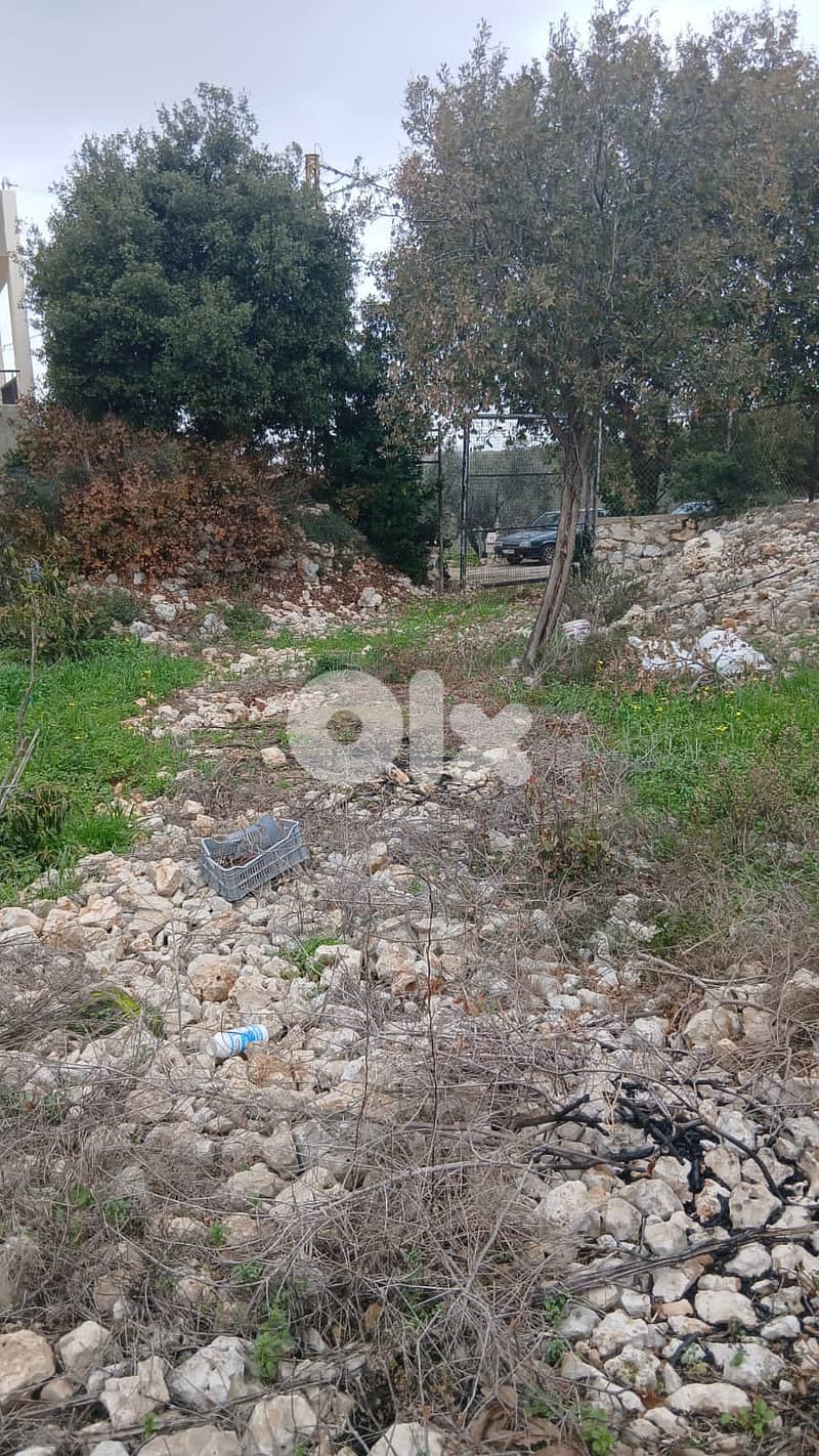 Land for sale in Hamat – Batroun أرض للبيع في حامات - البترون 1
