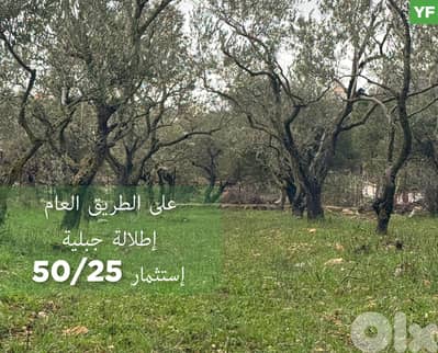 فرصة مميزة في عرمتى جبل الريحان,أرض بمساحة 2040 م/Aaramta REF#YF132933