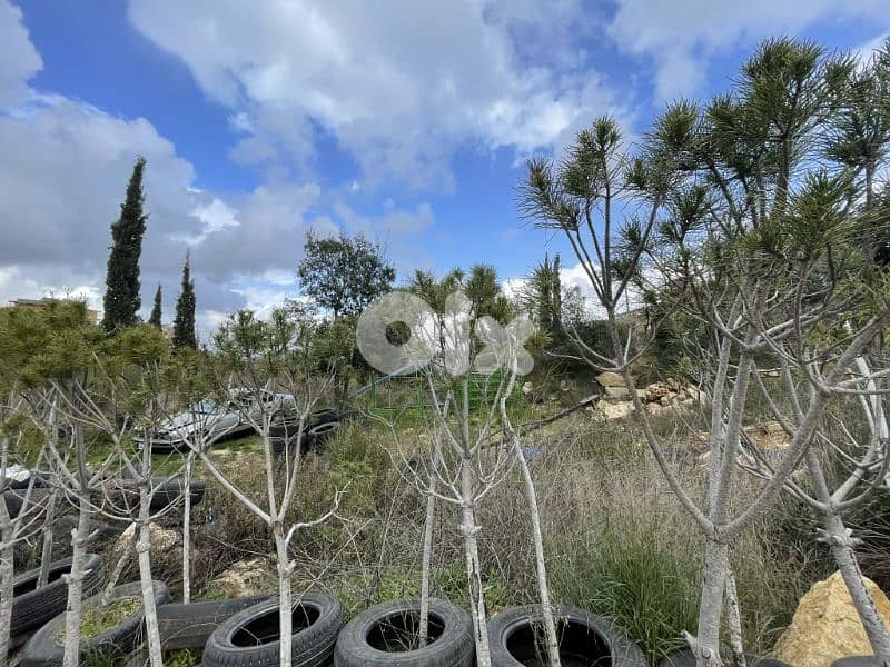 أرض للبيع في كيفون عاليه land for sale in kayfon aley 4