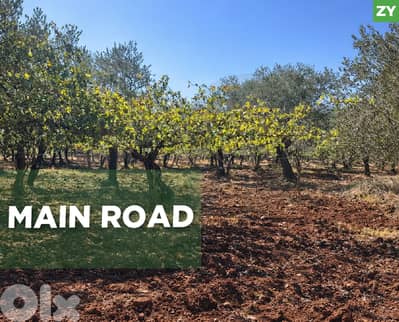 on the Main Road, prime area, Majdalaya/مجدليا REF#ZY133263