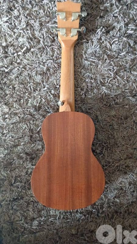 ukulele pro 1