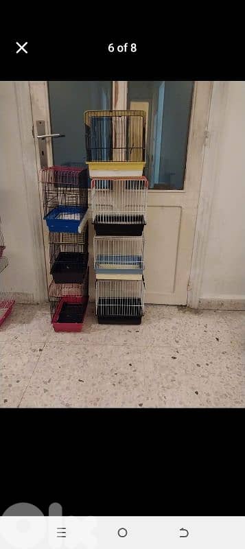 Birds Cages 6