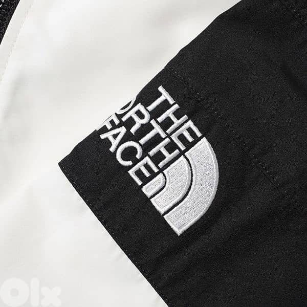 the north face balck series spectra mountain jacket 3