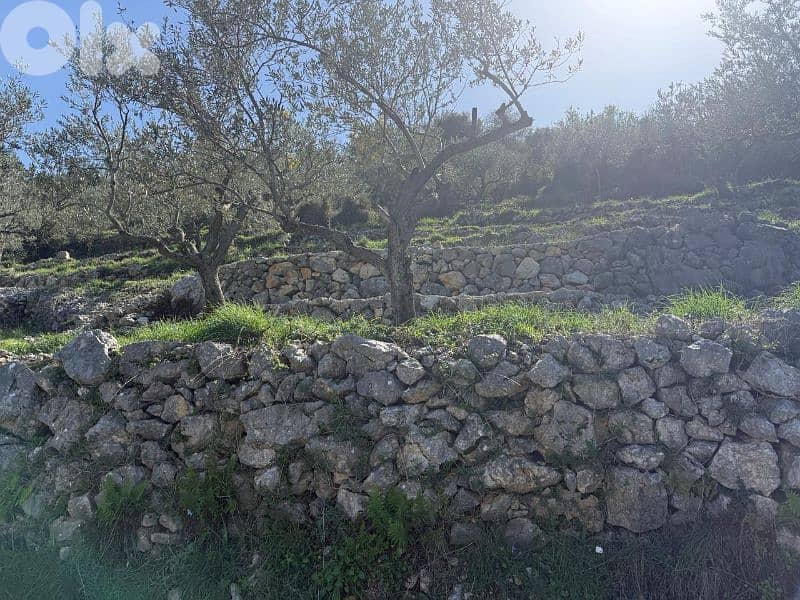 For Sale Land in Bejjeh 1300m ONLY for 50K للبيع أرض رائعة في بجة 1