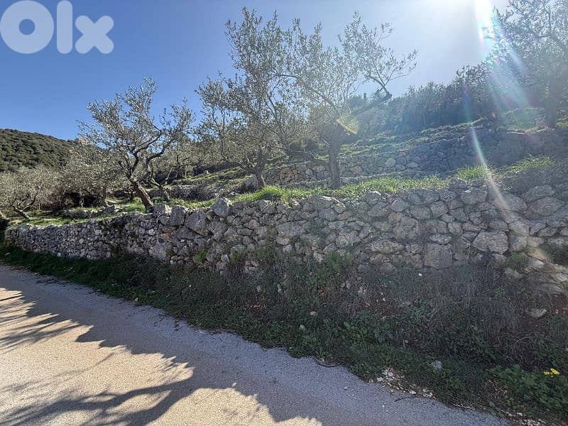 For Sale Land in Bejjeh 1300m ONLY for 50K للبيع أرض رائعة في بجة 2