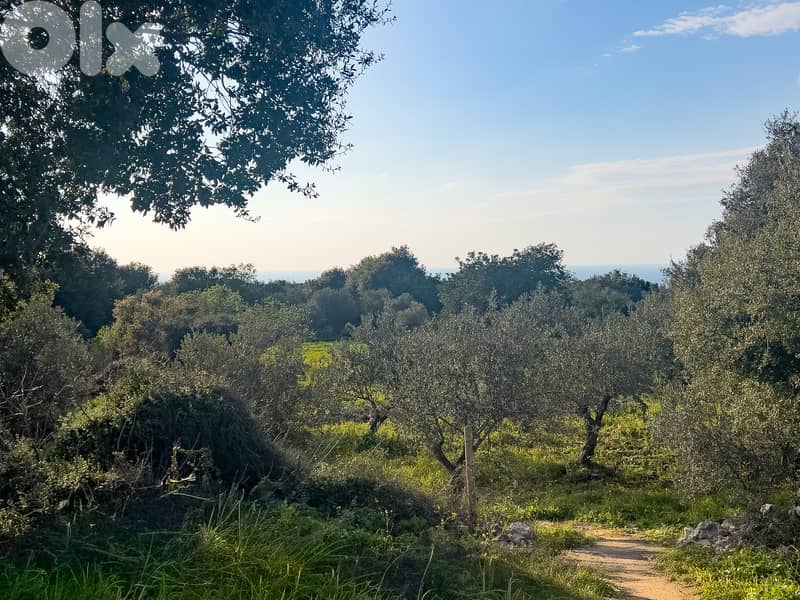 Hamat Sea View Estate - أرض واسعة بإطلالة بحرية في حامات 1