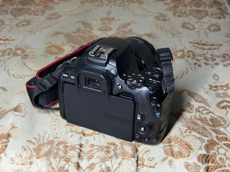 Canon 250D 3