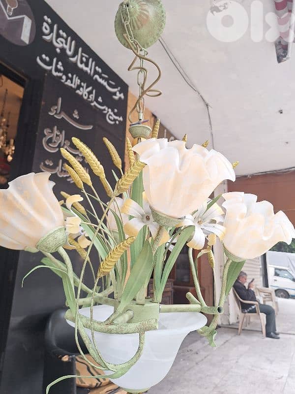 ثرية فيرفورجي رائعة جدا ومميزة سعر لقطة 1