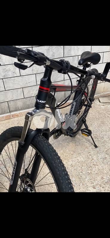 Bicycle 2