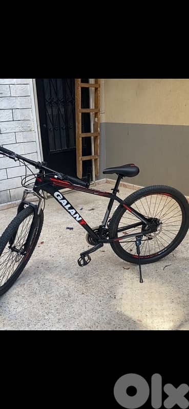 Bicycle 6