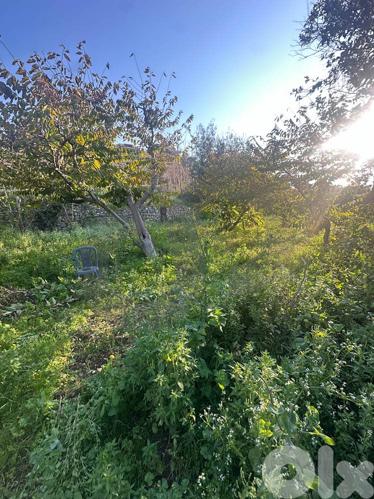 Great investment ,Needs renovation, okeibe / أوكايبي REF#CO134193 3