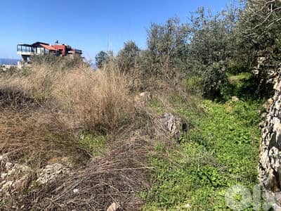 RWB186NK - Land for rent in Aamchit Jbeil