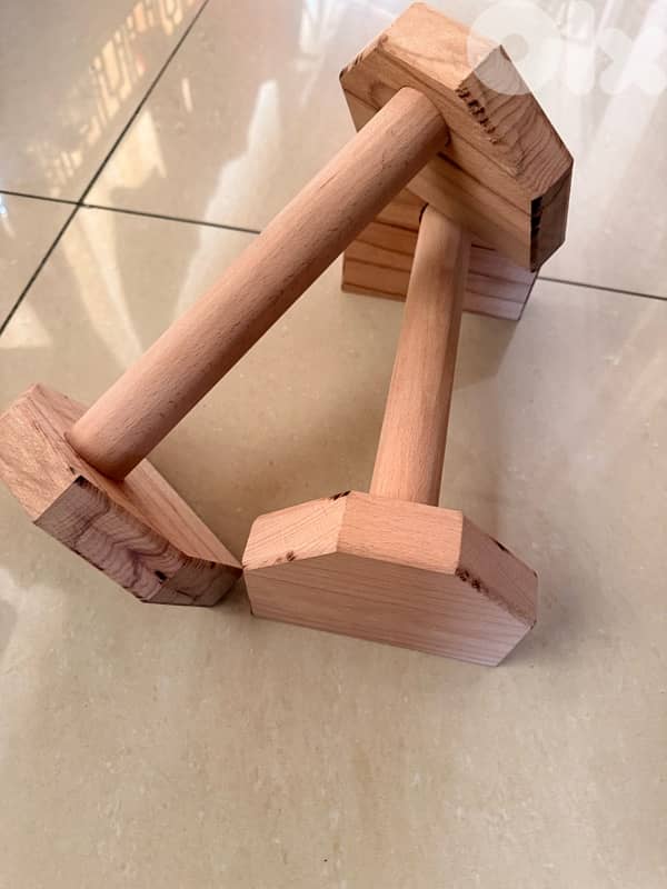 calisthenics handles 1