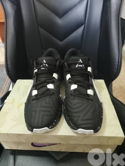 Zoom Freak 5