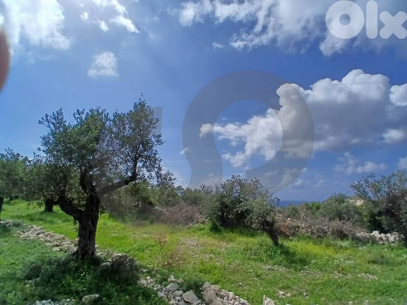 Open View,Landscaped Plot, Jbeil - Monsef/المنصف – جبيل  REF#DC134476 1