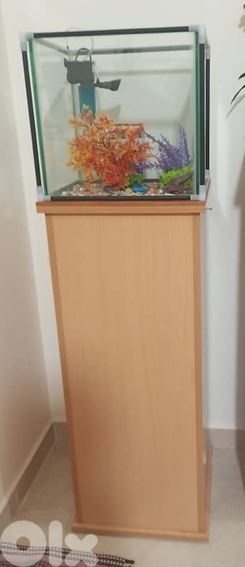 aquarium