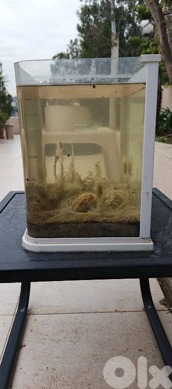 Aquarium