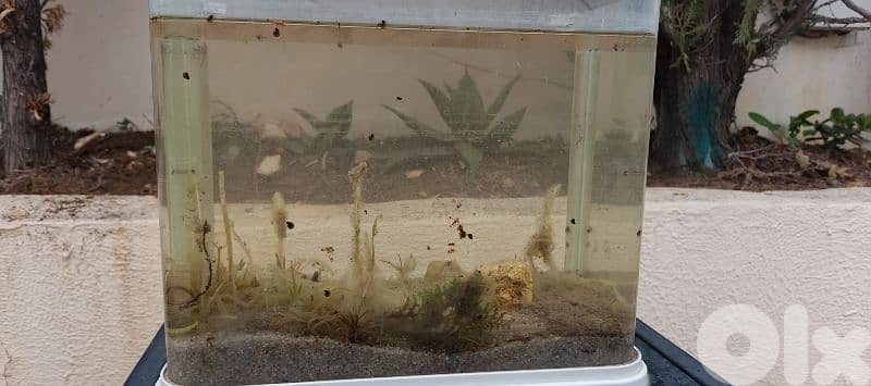 Aquarium 2