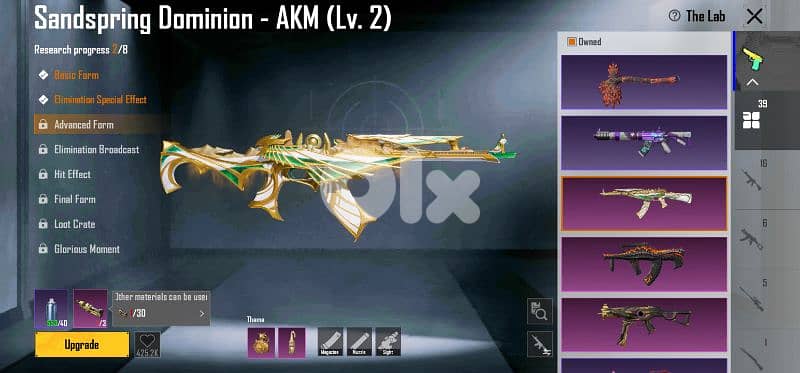 account pubg 12