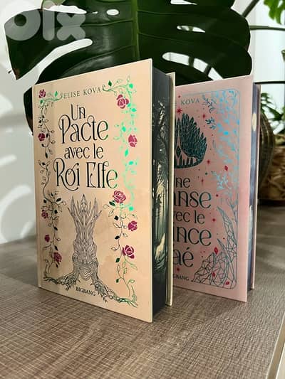 Married To Magic books 1&2 - French