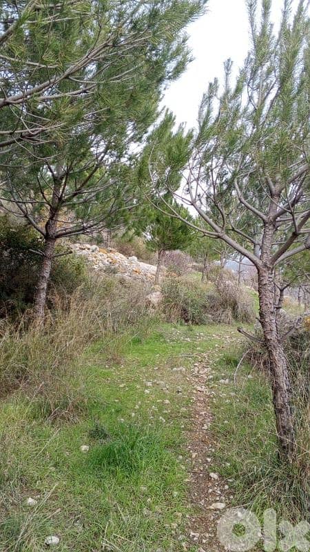 Land for sale in Chouf أرض للبيع في البيرة الشوف 1