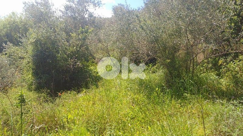 lands for sale in ijd-ebrin Alkoura أرض للبيع في إجدعبرين الكورة 3