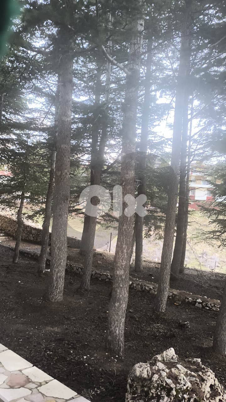 chimney, prime location, Arz, Becharre/الأرز – بشري REF#YT134613 5